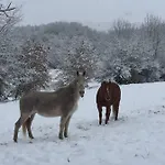 Hébergement de vacances Casa Rosi. Cumbres Borrascosas Branuelas *