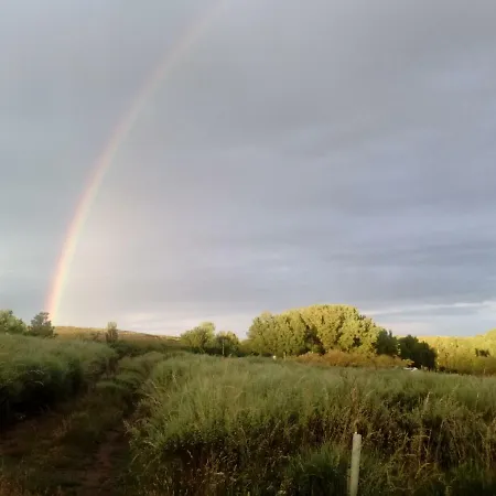 Casa Rosi. Cumbres Borrascosas Branuelas * Villagaton