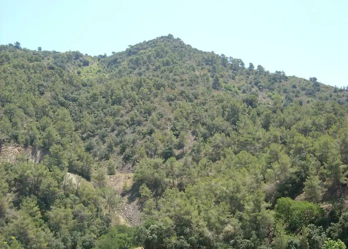 Casa Rosi. Cumbres Borrascosas Branuelas * Villagaton