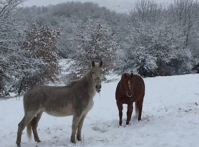 度假居 Casa Rosi. Cumbres Borrascosas Branuelas *