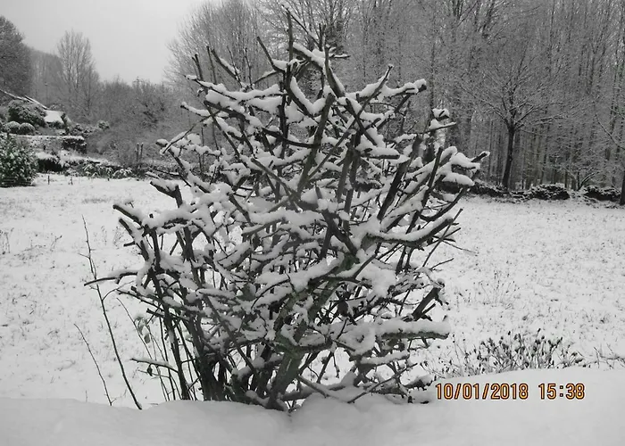 Casa Rosi. Cumbres Borrascosas Branuelas 度假居